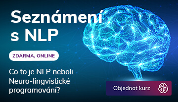 NLP ZDARMA UKÁZKA